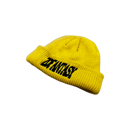 2DF SPELL OUT BEANIE